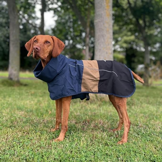 Spark Paws Dog Raincoat, Waterproof Windproof Rain Jacket, for Small Medium Large Extra Large Dogs, Reflective Breathable Full-Body Coverage Dry Suit - Blue Gold Black - 2XL