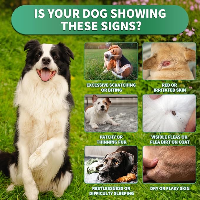 Flea and Tick Prevention for Dogs Chews – 200 Soft Chews, Dog Flea Chewables with Skin & Coat Support – Oral Supplement for All Breeds & Ages – Natural Duck Flavor