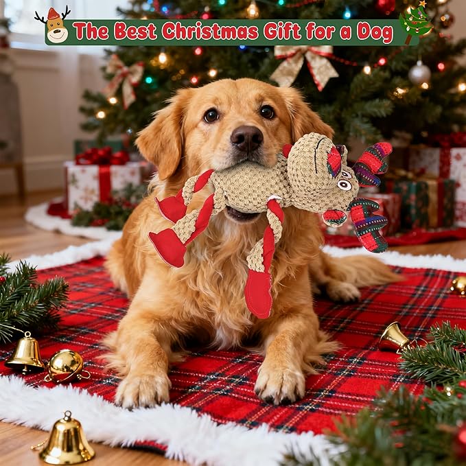 IOKHEIRA Christmas Dog Toys - Squeaky Dog for Small, Medium, and Large Dogs, Holiday Dog Toys with Organic Cotton, 5 Squeakers & Crinkle Papers, Soft Plush for Tug of War