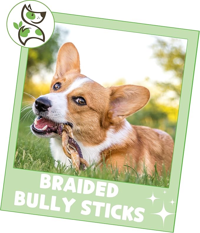 Nature Gnaws Braided Bully Sticks for Dogs 5-6" (10 Count) - Long Lasting for Small and Medium Dogs - Natural Beef Dog Chew Bones - Rawhide Free