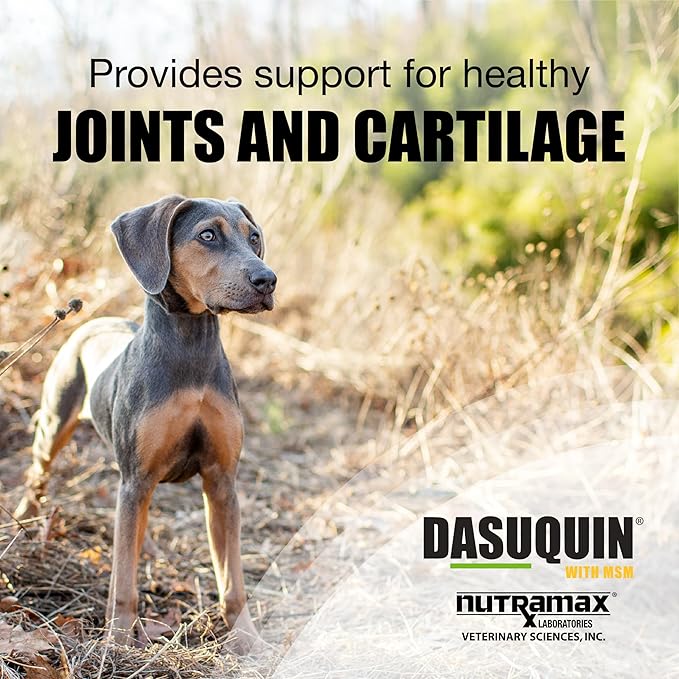 Nutramax Laboratories Dasuquin with MSM Chewable Tablets For Small/Medium Dog
