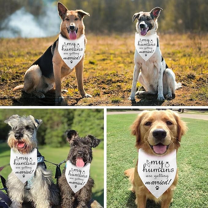 Engagement Gift, My Humans are Getting Married Dog Bandana, Wedding Photo Prop, Pet Scarf, Dog Engagement Announcement, Pet Accessories, Bridal Shower Gift (Black)