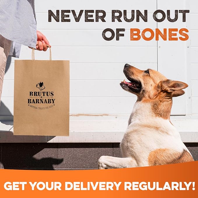 BRUTUS & BARNABY Kneecap Bones for Dogs – 100% USA-Sourced Beef – Long-Lasting Natural Chews for Aggressive Chewers – High Protein, Dental Health Support, (5-pk) – Made in The USA