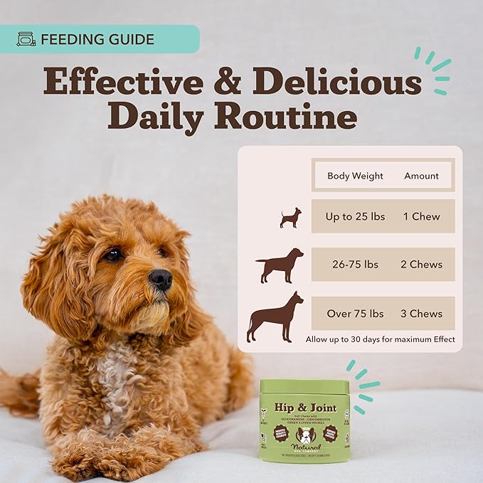 Natural Dog Company Hip & Joint Supplement for Dogs – Supports Mobility, Flexibility & Comfort, Glucosamine, Chondroitin, MSM & Turmeric, Chicken Flavor, 90 Count