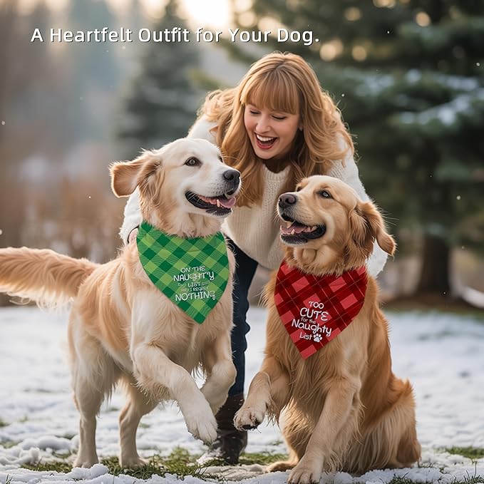 Christmas Dog Bandanas Funny, Dog Christmas Scarf 2 Packs, Pets Festive Plaid Décor for Small Dogs