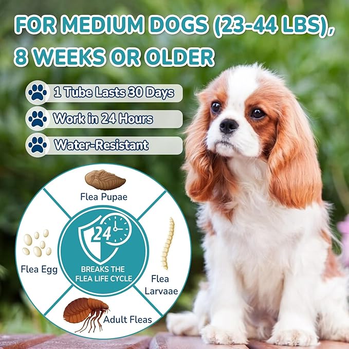 Flea and Tick Prevention for Medium Dogs, 6-Month Supply Dog Flea and Tick Treatment Drops, Topical Fast-Acting Dog Treatment for Medium Dogs Up to 23 to 44 lbs