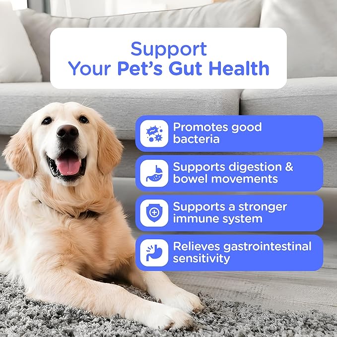 Probiotics for Dogs – Digestive & Immune Support Chews with Probiotics – Natural Gut Health Supplement for Diarrhea, Gas & Allergies (120 Count)