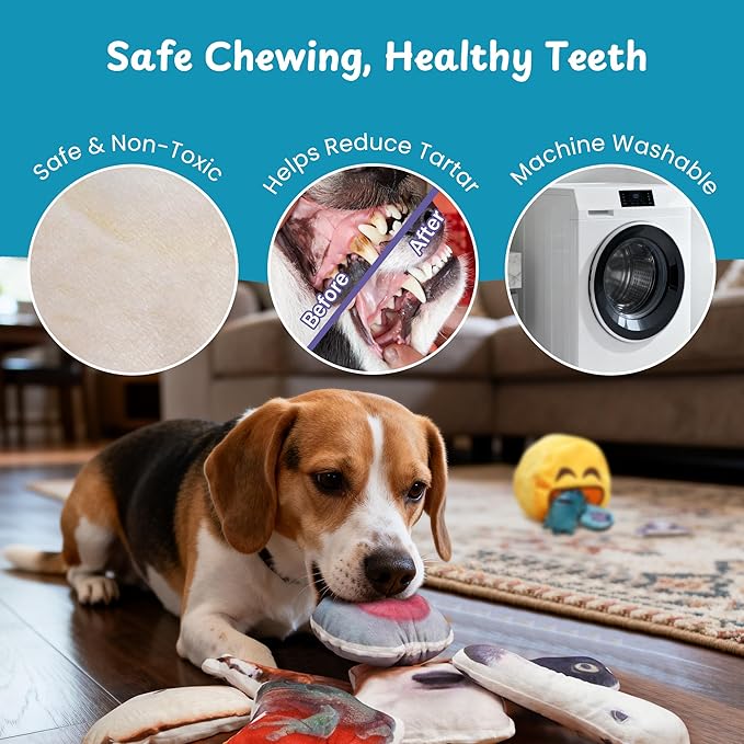 Nocciola Plush Squeaky Dog Toys – 12 Pack Small Dog Chew Toys with Squeakers, Soft Stuffed Puppy Toys with Carry Bag for Small & Medium Dogs