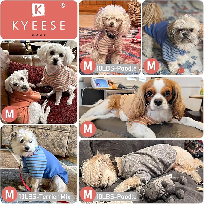 KYEESE 2Pack Dog Sweater Soft Pet Coat Stretchy Cat Clothes Cat Sweaters with Sleeves Comfy Pet Fleece Sweater Lightweight Dogs Sweatshirt Pullover Dog Sweaters for Small Dogs Girl for Cold Weather