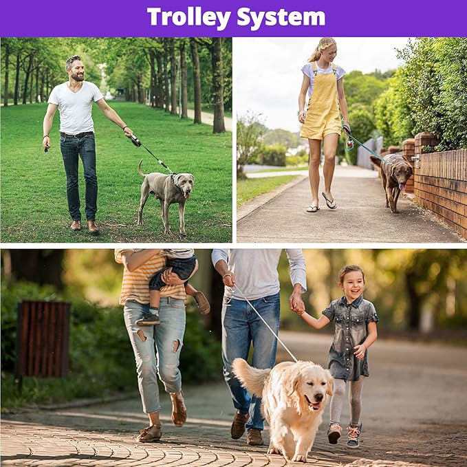 Long Dog Leash 10 FT: Heavy Duty Rope Leashes for Dogs Training with Swivel Lockable Hook Reflective Threads Bungee and Padded Handle - Dog Lead for Large Small Medium Dogs Outside Walking Hiking