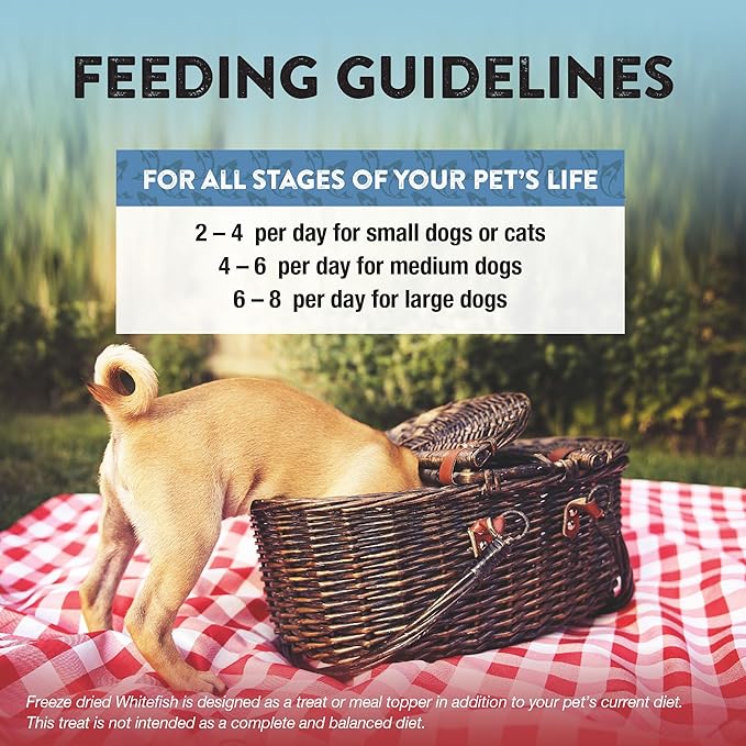 Northwest Naturals Raw Rewards Freeze-Dried Whitefish Treats for Dogs and Cats - Bite-Sized Pieces - Healthy, 1 Ingredient, Human Grade Pet Food, All Natural, Proudly Made in USA, 2.5 Oz (Pack of 3)