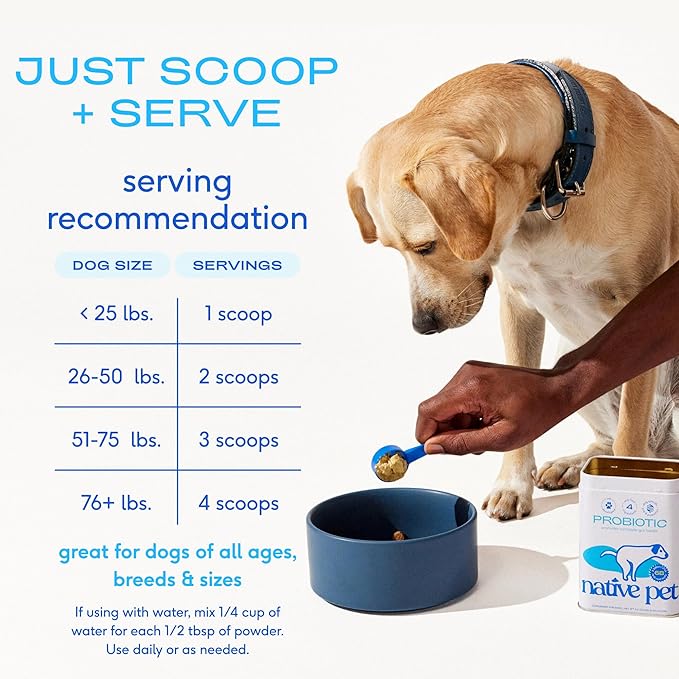 Native Pet Probiotics for Dogs - Dog Probiotics Powder for Digestive Health, Gut Support, & Immune Boost – Vet-Formulated Powder for Maximum Potency with Digestive Enzymes & Prebiotics - 60 Scoops
