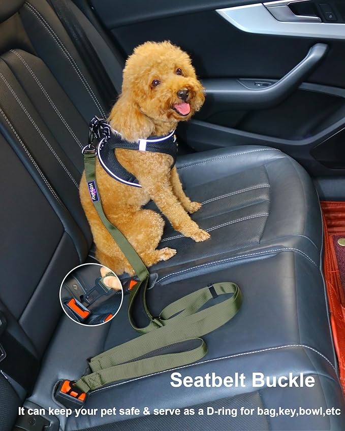 Hotsky Heavy Duty Dog Leash,4.5-6 FT Adjustable Durable Nylon Seatbelt Lead with Two Padded Traffic Handle and Carabiner for Large Medium and Small Breed Dogs,ArmyGreen