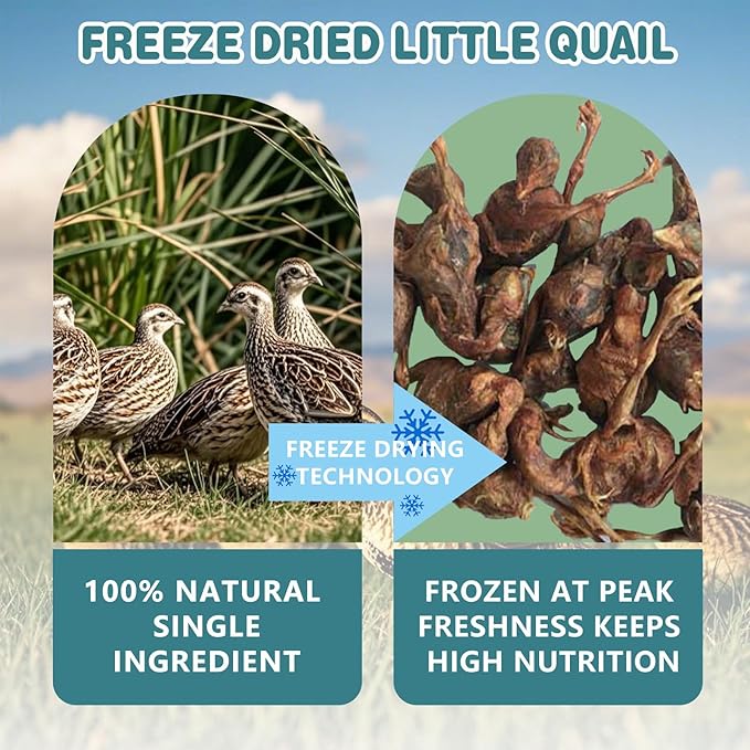 Freeze Dried Little Quail, 4.5 Oz Quail Dogs Cat Treats, Single Ingredient Freeze Dried Cat and Dog Treats Delicious Training Snacks, Natural Food Healthy Animal Protein Pet Food