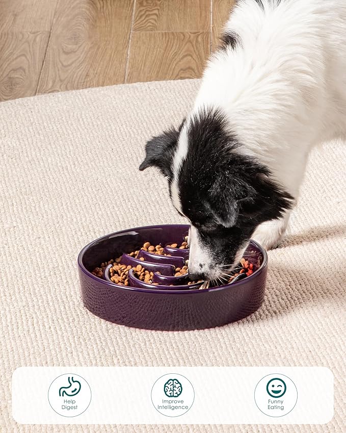 vancasso Slow Feeder Dog Bowl, 3 Cup Ceramic Slow Feeding Food Dish for Large Breed, Puzzle Dog Food Bowl for Fast Eater, Dark Purple