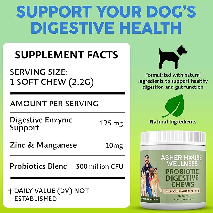 Asher House Wellness Probiotics Digestive Chew for Dogs - Dog Probiotic, Digestive Enzymes for Gut Health & Digestion - Pet Chews for Diarrhea, Upset Stomach, Allergies, Itchy Skin Relief, 120 Chews