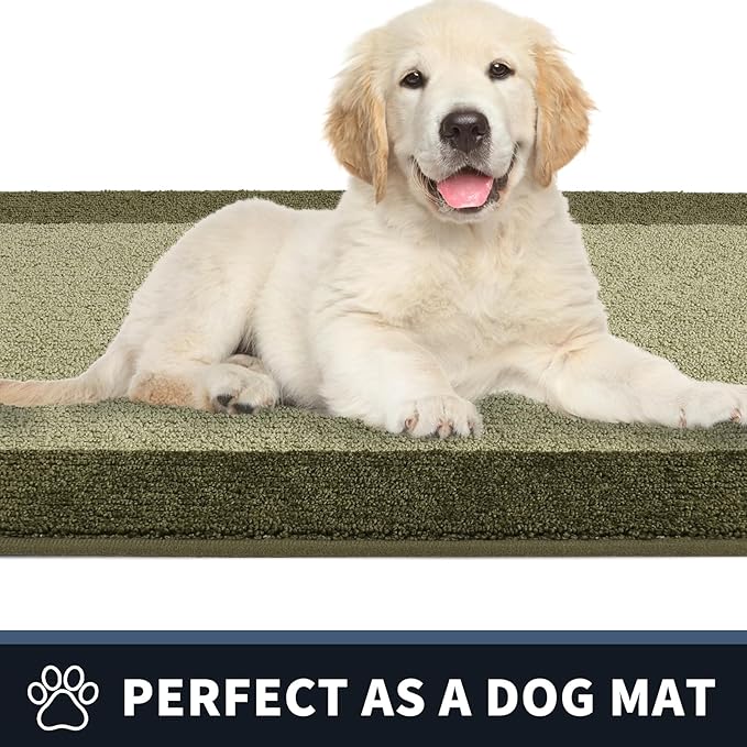 PURRUGS Dirt Trapping Door Mat 24" x 60", Non-Slip/Skid Machine Washable Entryway Rug, Shoes Scraper, Throw Rug, Super Absorbent Area Rug for Muddy Wet Shoes and Paws, Budding Green & Sage Green