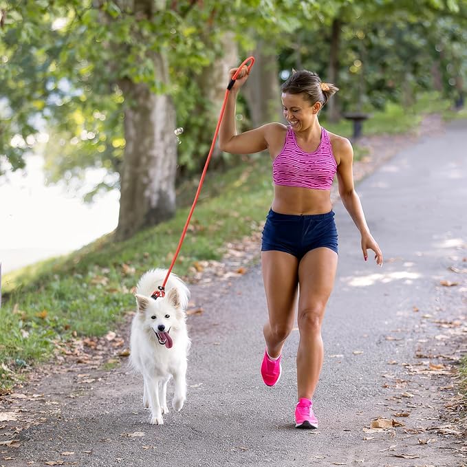 3-Pack Adjustable Dog Slip Leads Pink/Light Blue/Orange - Super-Strong, Easy On/Off, No Collar Needed, Standalone Use, Eye-Catching for Walking/Training