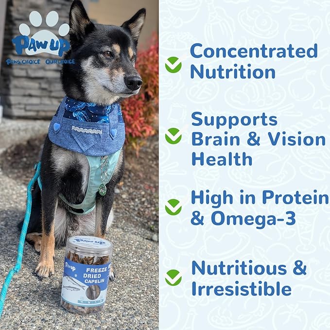 PAWUP Freeze Dried Capelin Dogs Treats – Raw Single Ingredient Dog Fish Snacks, Rich in Omega-3 for Skin & Coat Health, Grain Free, 3.5oz