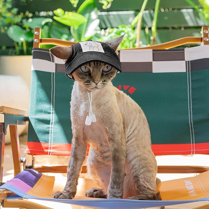 Pet Dog Baseball Cap, Cat Hat, Cat Dog Sun Cap with Ear Holes, Adjustable Puppy Outdoor Sun Hat (Black, Small)