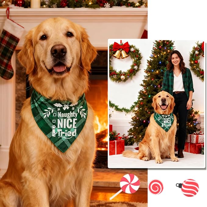 Christmas Dog Bandanas Pets Funny Holiday Costume Gift Xmas Stocking Stuffers - Naughty Nice I Tried, Green Plaid, Medium & Large Breed, 25-75lbs