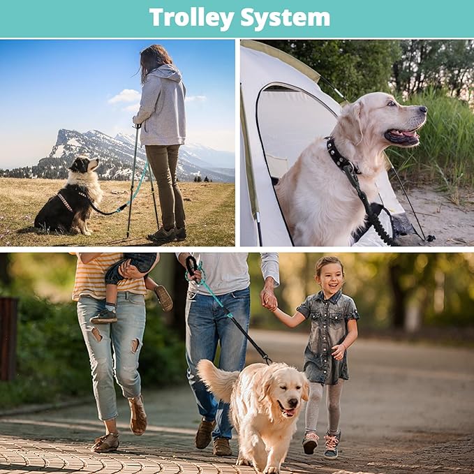 jenico Rope Dog Leash 8FT: Heavy Duty Leashes with Swivel Lockable Hook Reflective Threads Bungee and Padded Handle - Dog Lead for Large Small Medium Dogs Outside Walking Hiking