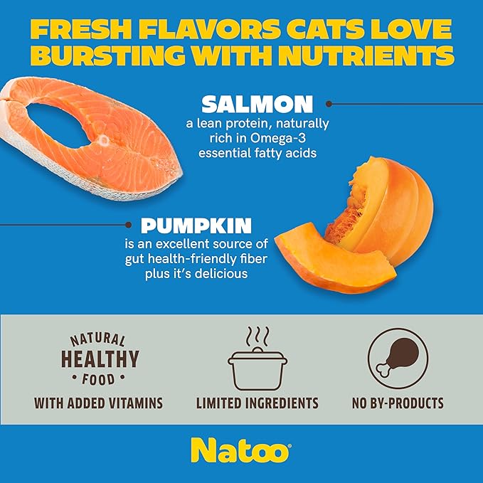 NATOO Cat Food Topper for Picky Eaters & Healthy Soft Cat Treat (Salmon & Pumpkin), Wet Food with Gravy, High Protein & Limited Ingredient, 2.4 oz (Case of 20)