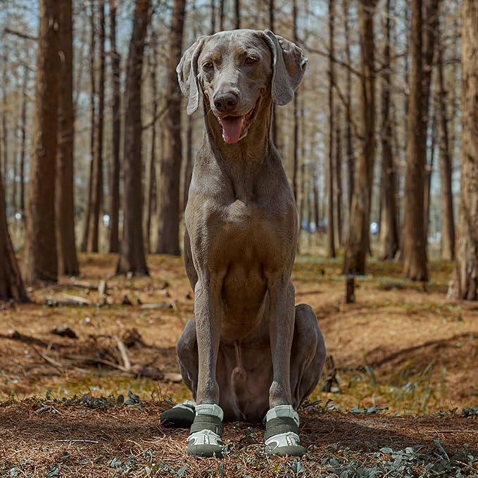 Dog Shoes, Waterproof Dog Boots & Paw Protectors with Anti-Slip Sole, 4pcs/Set Pet Dog Booties, Reflective Dog Shoes for Small Medium Large, Winter Snowy Summer Hot Pavement (Green, 8# (2XL))