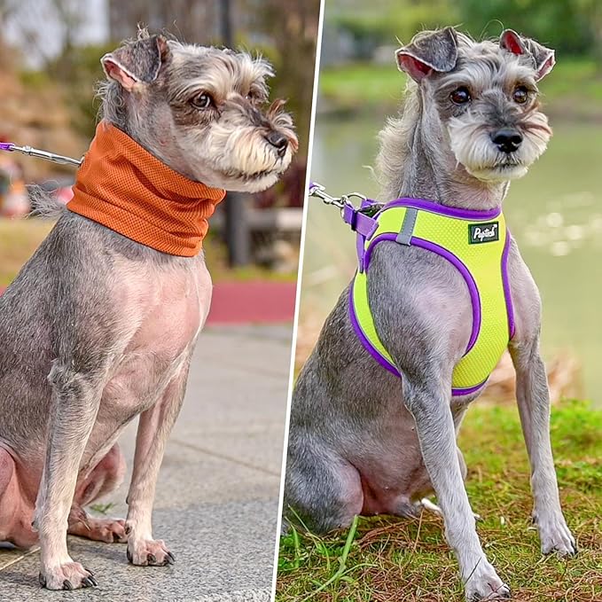 PUPTECK Adjustable Dog Harness Collar and Leash Set Step in No Pull Pet Harness for Small Medium Dogs Puppy and Cats Outdoor Walking Running, Soft Mesh Padded Reflective Vest Harnesses, GreenYellow XS