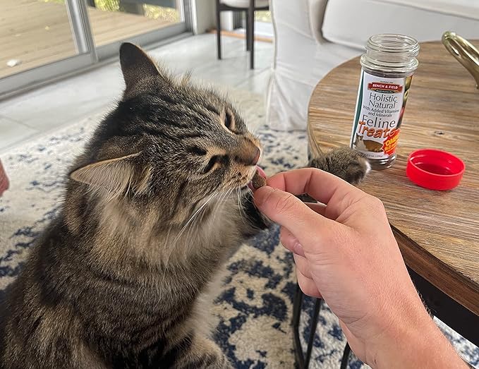 Bench & Field Holistic Natural Healthy Kitty Cat Treats | Crunchy Fish-Shaped Bites | Delicious Seafood Flavored Snack, 3-Ounce (Pack of 3 Bottles)