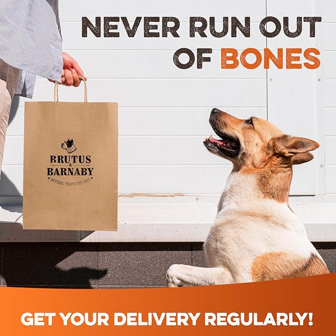 BRUTUS & BARNABY Shin Bones for Dogs – 100% USA-Sourced Beef Bones – Long-Lasting Chew for Large Breeds and Aggressive Chewers – Natural, High Protein, Dental Health Support, (3-pk) – Made in The USA