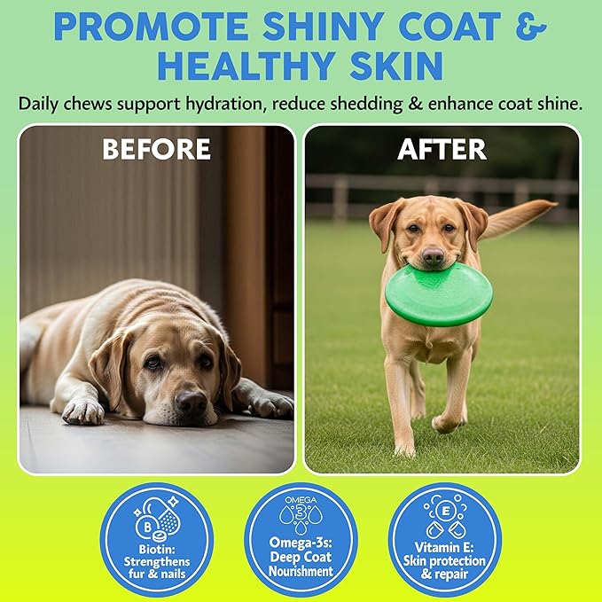 Asher House Wellness Skin & Coat Chews - Dog Itching Skin Relief with Omega 3, 6, 9, Fish Oil, Biotin - Dogs Itchy Paw Licking Chewable Treats, Puppy Dry Itch Supplement - 120 Soft Chews