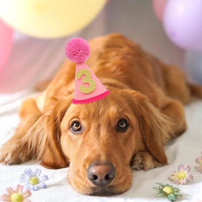 Pet Birthday Hat with Interchangeable Numbers 1-10 | Adjustable Pet Party Cone Hat for Dogs & Cats | Puppy Birthday Photo Props for 1st to 10th Birthday Celebrations (Pink Birthday Pet Hat)