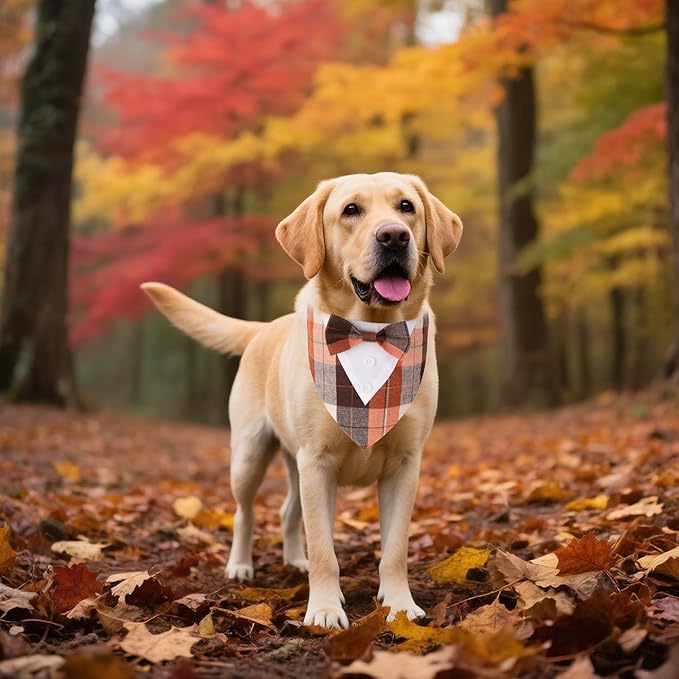 ADOGGYGO Fall Dog Tuxedo Bandana, Orange Plaid Pet Fall Collar with Bowtie, Adjustable Halloween Thanksgiving Costume for Extra Large Dogs (XL)