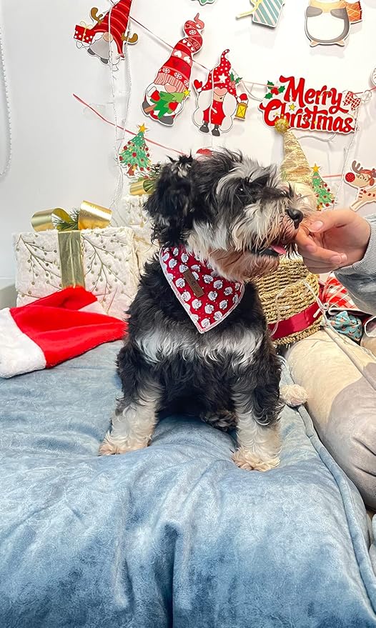 Lionet Paws Christmas Dog Bandana Washable Cotton Handkerchief Scarf Triangle Bandana for Small Medium Large Dogs Santa Claus Girl Boy