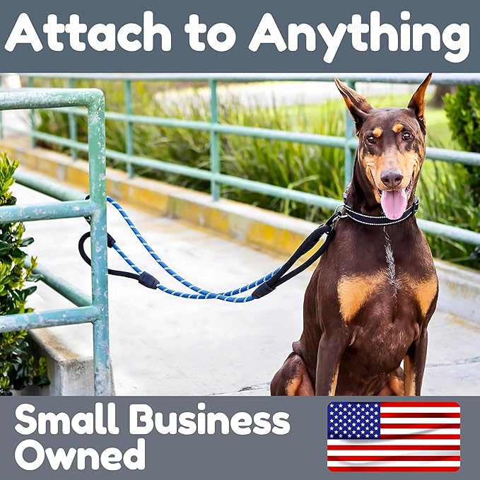 Premium 6 Ft Dog Leash - Two Extra Padded Handles, Heavy Duty Leashes for Medium Dogs to Large Breeds, Reflective, Shock-Absorbing, Anti-Pull Rope Leash, Strong Pet Lead for Everyday Walks - Roam Gear