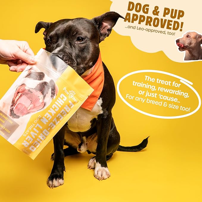 Freeze Dried Dog Treats - Cage-Free Chicken Liver - Dog Food Dry Snacks - with Protein & Omega 3s - for All Breeds & Sizes - No Artificial Flavors & Dyes, No Preservatives - 1 Pouch, 4 oz