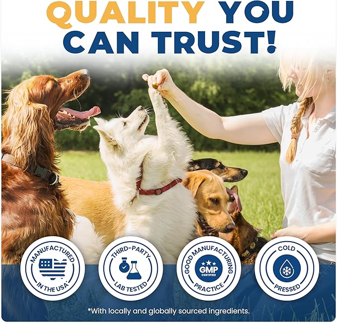 Jope Hip & Joint Supplement for Dogs Large, Medium, Small - Joint Chews w/UC-II® Collagen - Proven Better Than Glucosamine Chondroitin in Canine Health - Veterinarian Formulated, Omega 3 & Curcumin