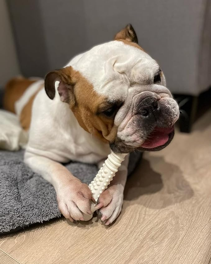 Nylabone Textured Knuckle Bone Power Chew Toy for Dogs, Durable & Tough Dog Toys for Aggressive Chewers, Chicken Flavor, X-Large - 50+ lbs, 1 Count