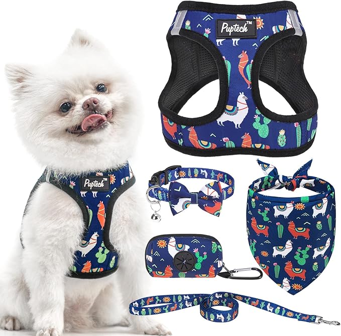PUPTECK Adjustable Dog Harness Collar and Leash Set, Step in No Pull Pet Harness for Small Medium Dogs Puppy Cats Outdoor Walking, Soft Mesh Padded Reflective Vest Harnesses, Navy Blue Alpaca, XXS