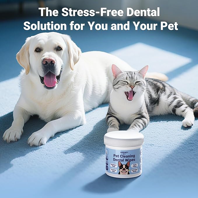 Pet Teeth Cleaning Wipes for Dogs&Cats, 60 pcs Dental Finger Wipes, Larger Sized, Plant Extract Ingredients Refresh Breath & Control Plaque & Protect Gum, Dog Tooth Brushing Kit, Unscented