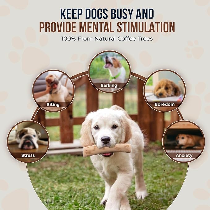 Coffee Wood Dog Chew Stick for Small Dogs, 7.5'', 2 Pack Size S - 100% Natural Chew Toys - Teeth Cleaning, Stress Relief, Dog Health - Organic
