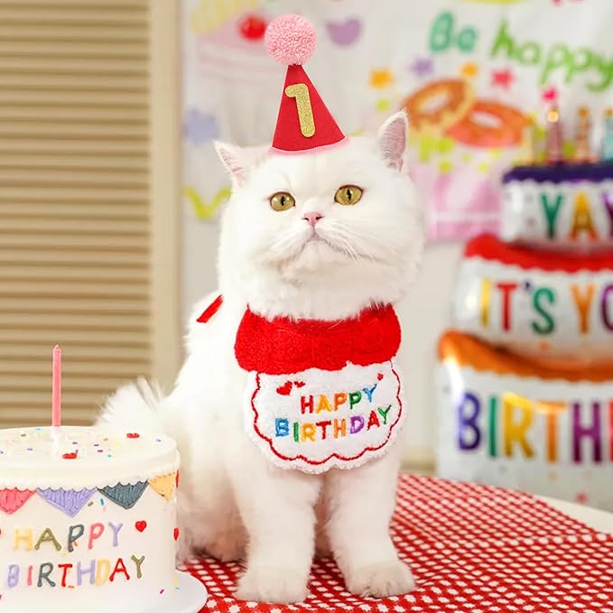 Pet Birthday Hat with Interchangeable Numbers 1-10 | Adjustable Pet Party Cone Hat for Dogs & Cats | Puppy Birthday Photo Props for 1st to 10th Birthday Celebrations (Red Birthday Pet Hat)