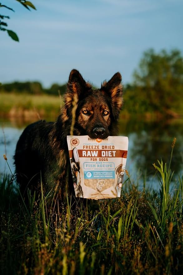 Boss Dog Complete & Balanced Freeze Dried Raw Diet for Dogs, Fish Recipe, 12 oz Bag