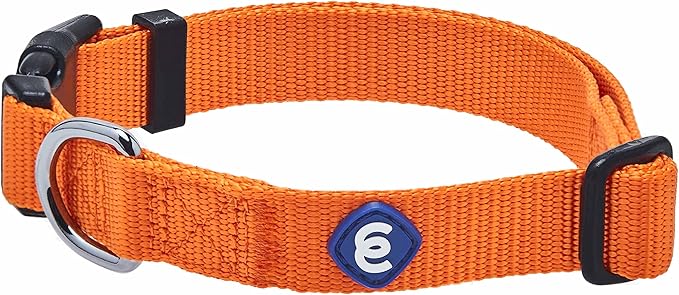 Blueberry Pet Essentials Matching Dog Collar | Adjustable Classic Solid Color Nylon Dog Collars for Dogs | Orange Vermilion Dog Collar for Dogs
