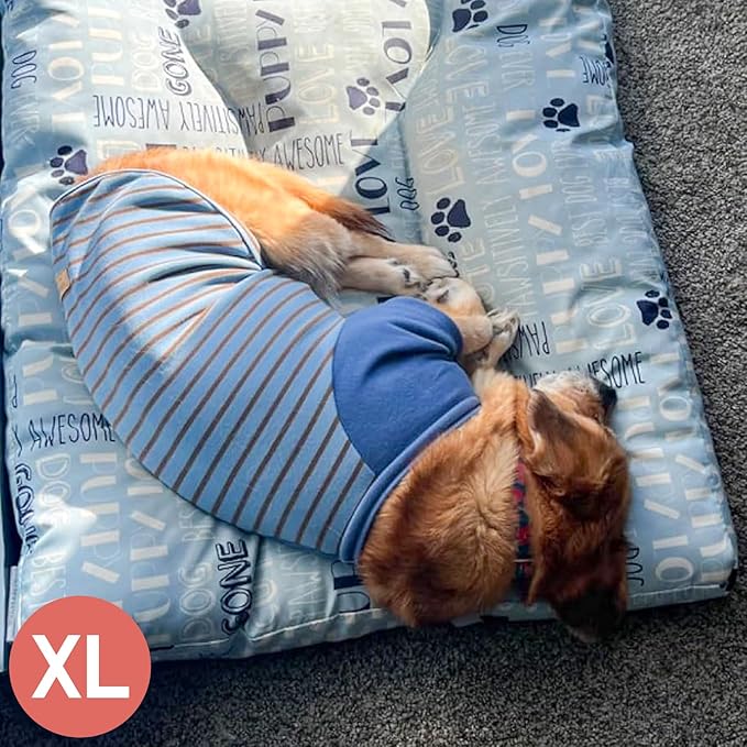 KYEESE 2Pack Dog Sweater Comfy Dogs Sweatshirt Lightweight Dog Sweaters for Small Dogs Male Stretchy Cat Sweaters Soft Cat Clothes Pullover Pet Coat Pet Fleece Sweater with Sleeves for Cold Weather