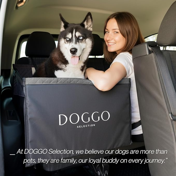 Premium Dog Car Seat & Back Seat – Waterproof & Non-Slip Travel Hammock with Storage Pockets | Secure & Comfortable Pet Seat Cover for Medium Dogs – Fits Cars, SUVs & Trucks (Black)