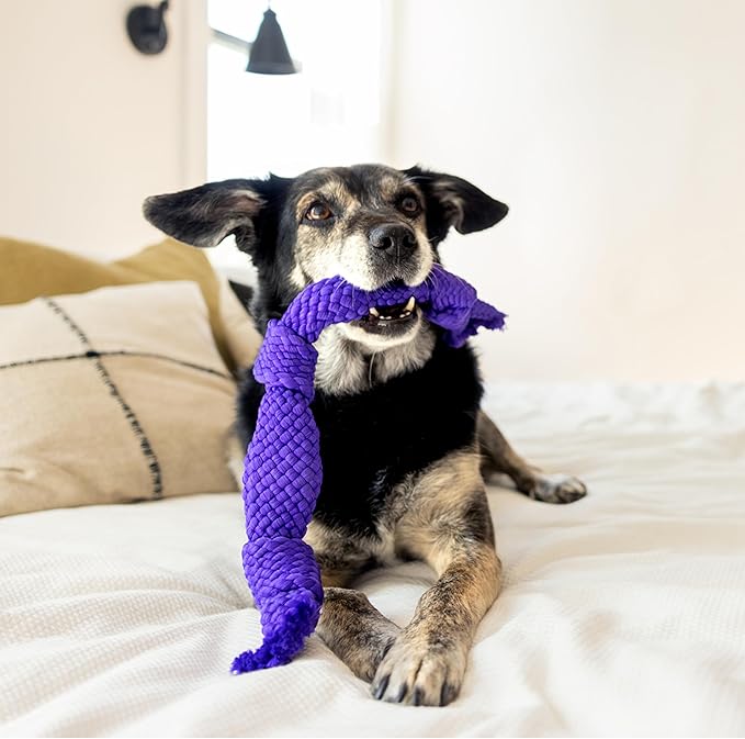 Playology Dog Toys | Dri-Tech Dental Rope Toy for Dogs - Gentle on Teeth | Jumbo Pork Sausage Scented Toy - Easy to Clean and Made from Non Toxic Materials