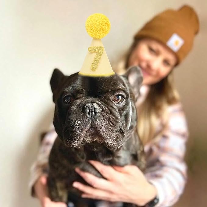 Pet Birthday Hat with Interchangeable Numbers 1-10 | Adjustable Pet Party Cone Hat for Dogs & Cats | Puppy Birthday Photo Props for 1st to 10th Birthday Celebrations (Yellow Birthday Pet Hat)