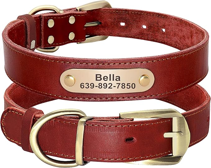 Didog Genuine Leather Dog Collars with Engraved Nameplate, Personalized Soft Leather Dog Collar with Custom ID Tag, Brown/Green/Red for Small Dogs (M,Red)